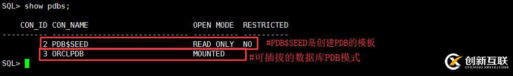 怎么應用Oracle 12c插拔數據庫