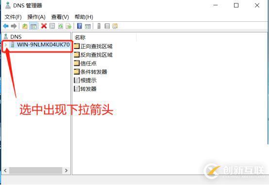 DNS+Web+DHCP服務架構