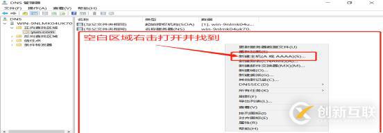 DNS+Web+DHCP服務架構