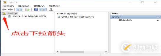 DNS+Web+DHCP服務架構