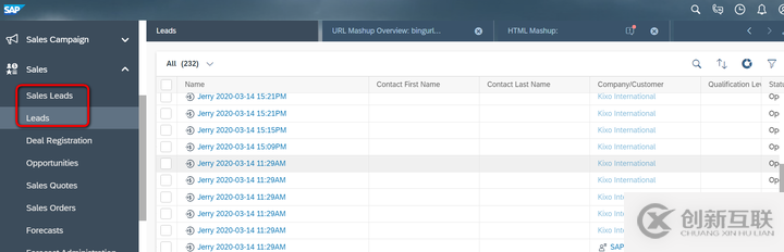 怎么在SAP Cloud for Customer頁面嵌入自定義UI