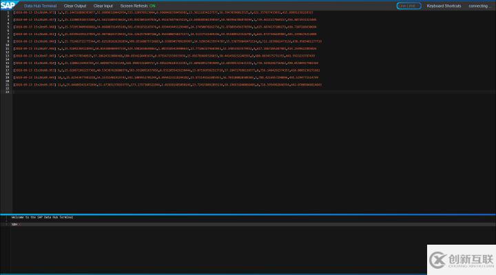 如何解析SAP Data Intelligence Modeler里的Kafka Producer和Kafka Consumer