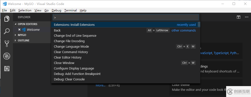 怎么配置使用Go語言IDE中的VSCode