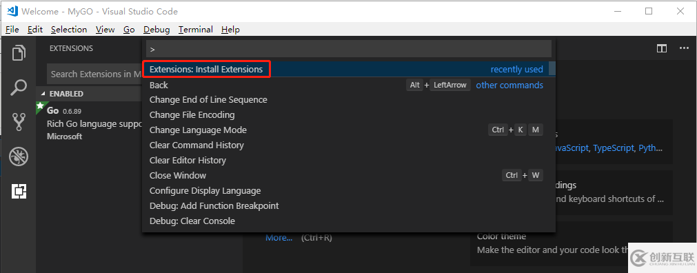 怎么配置使用Go語言IDE中的VSCode
