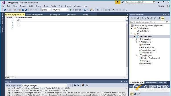 ASP.NET Core項目相關配置的示例分析