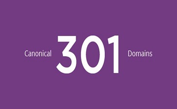 canonical、301、Domains