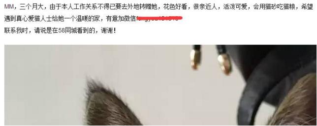 信息流爆炸時代，流量分散，玩轉吸粉，這些套路你得會 經驗心得 第1張