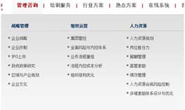 智臻企業管理咨詢網站修改意見